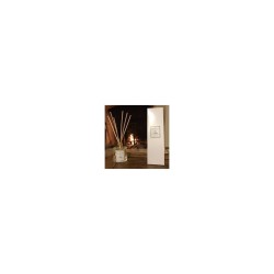 DB04 - Feu de bois