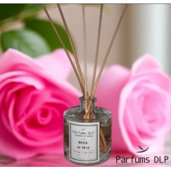 DB10 - Rose de Mai
