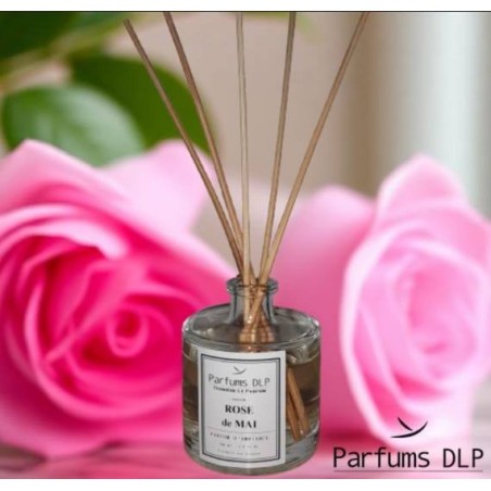 DB10 - Rose de Mai