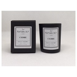 BP03 - CEDRE