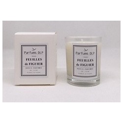 BP05 - Feuille de figuier